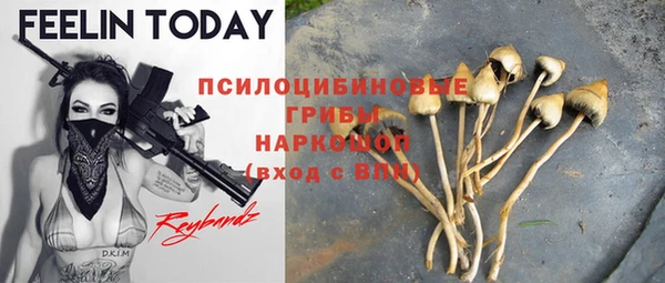 прущий лед Володарск