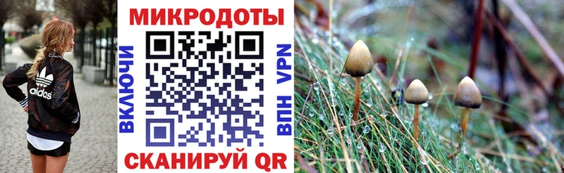 Псилоцибиновые грибы мицелий  Сыктывкар 